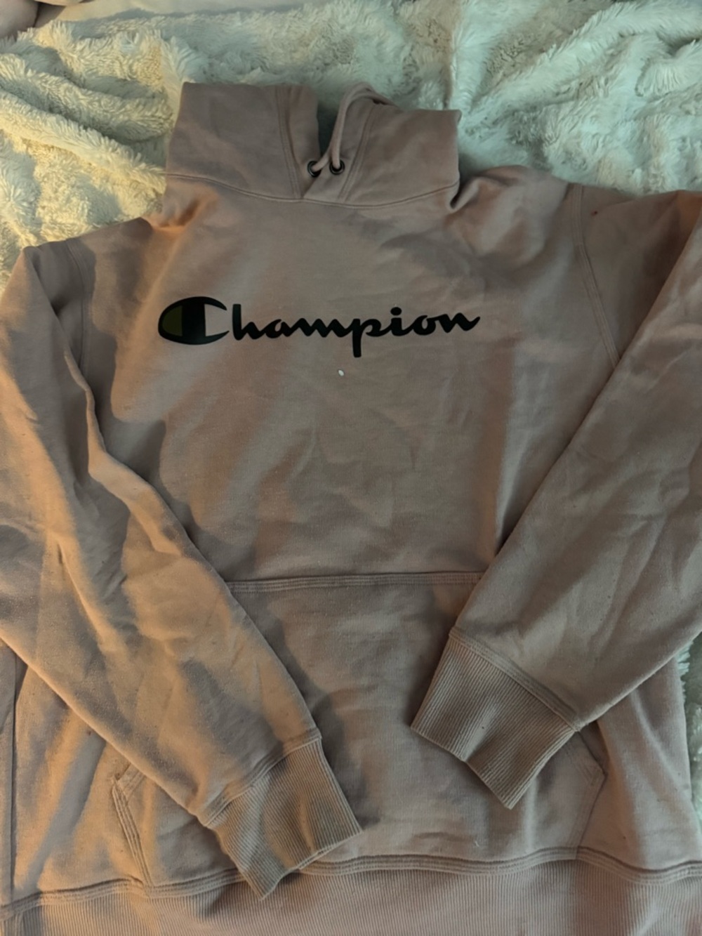 Men’s Champion Pullover Hoodie in Dusty Mauve with Black Script